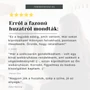 Kép 8/9 - székhuzat étkezőszékre rugalmas mosható vélemények